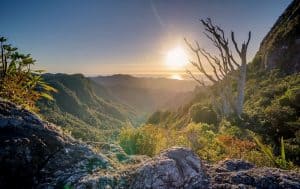 self realization and hypnotherapy courses