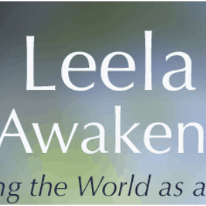 leela school